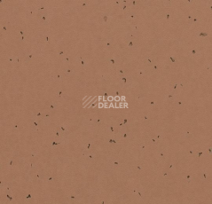 Линолеум Forbo Sphera Energetic 50225 masala фото 1 | FLOORDEALER